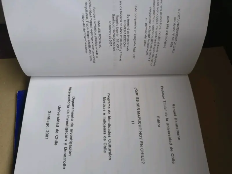 Libro ¿Qué es ser mapuche hoy en Chile? - 2