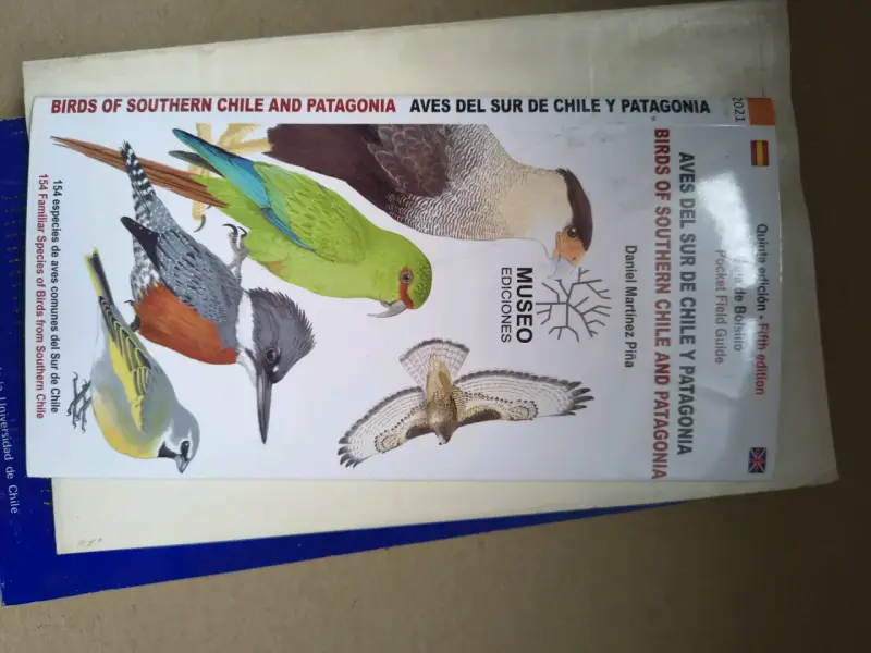 Guía de Aves del Sur de Chile y Patagonia - 1