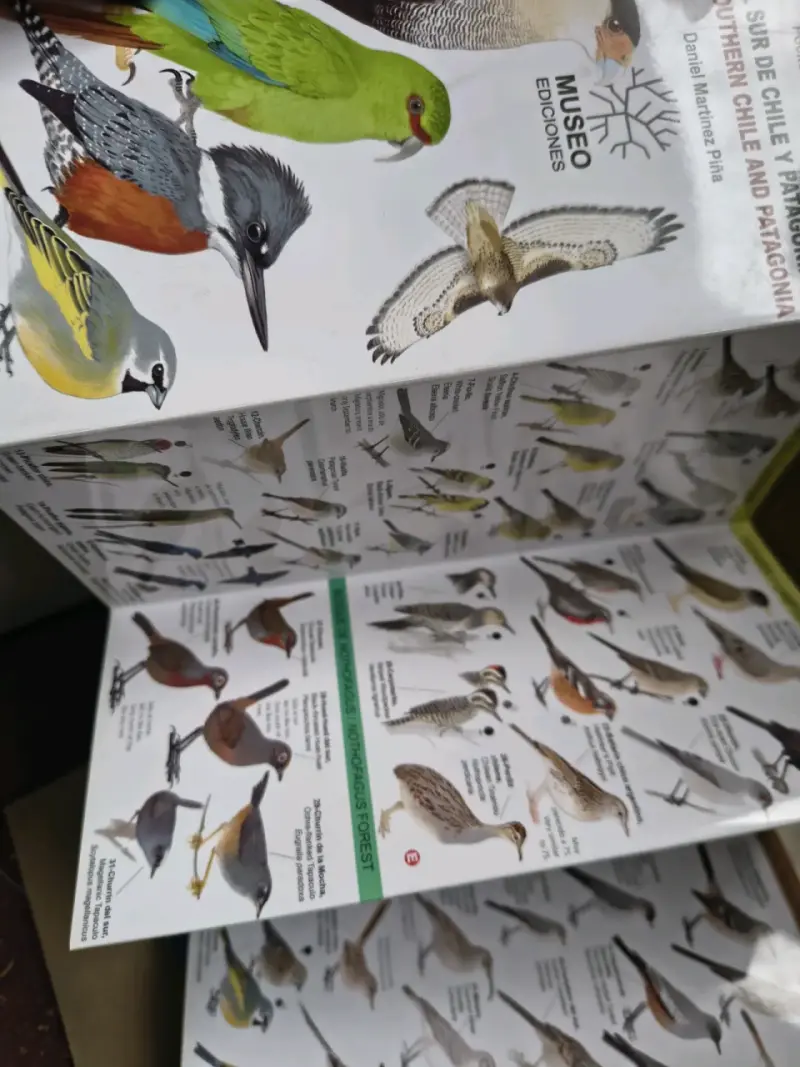 Guía de Aves del Sur de Chile y Patagonia - 2