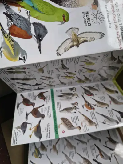 Guía de Aves del Sur de Chile y Patagonia - miniatura 2
