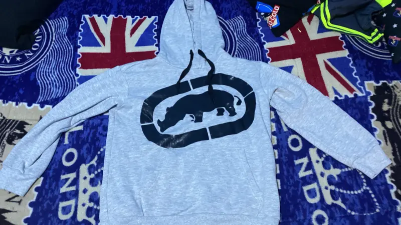 Polerón gris con capucha y diseño de rinoceronte