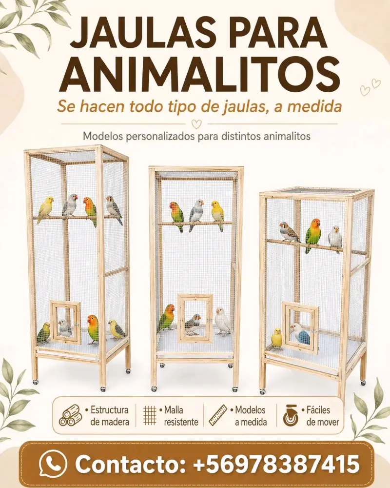 Jaula Nidos y Mosquiteros - 4