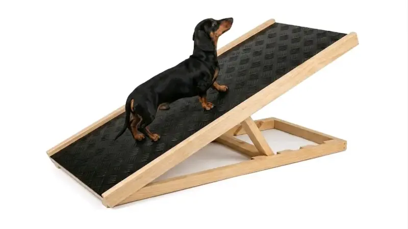 Rampa para perros plegable de madera y goma - 2