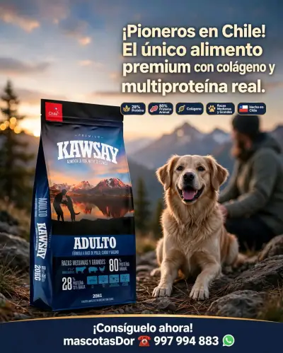 Alimento Kawsay Adulto, colágeno Hidrolizado 20kg - miniatura 1