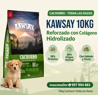 Alimento para cachorro Kawsay 10kg con salmón y yucca - miniatura 1