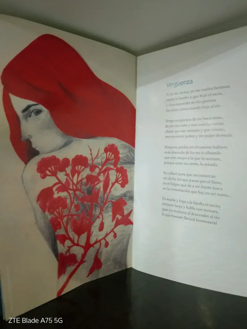 Libro Antología Ciudadana Gabriela Mistral - 2