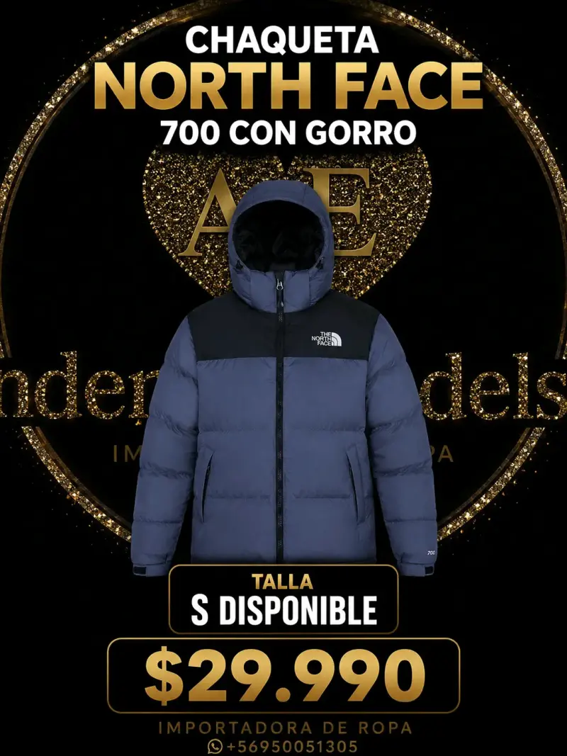 Chaqueta North Face 700 con gorro talla S