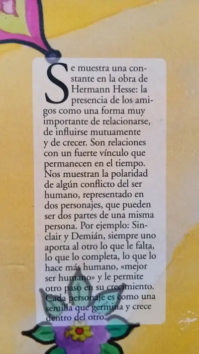 Colección de libros Hermann Hesse Editorial Andrés Bello - miniatura 4