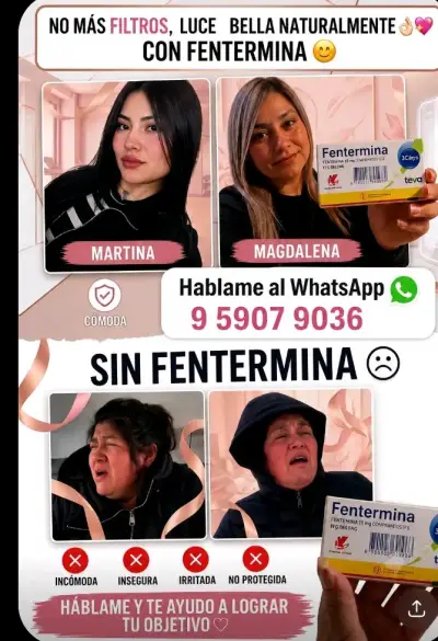 Certificados LM - miniatura 3