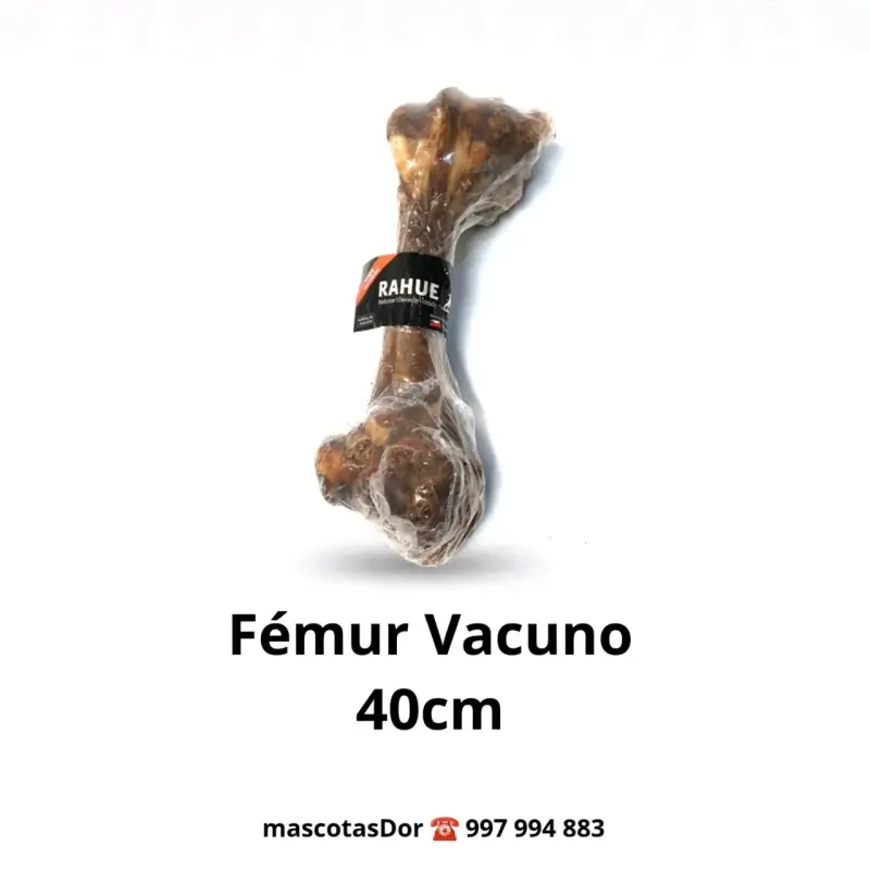 Hueso Fémur Vacuno para Perros 40cm Rahue