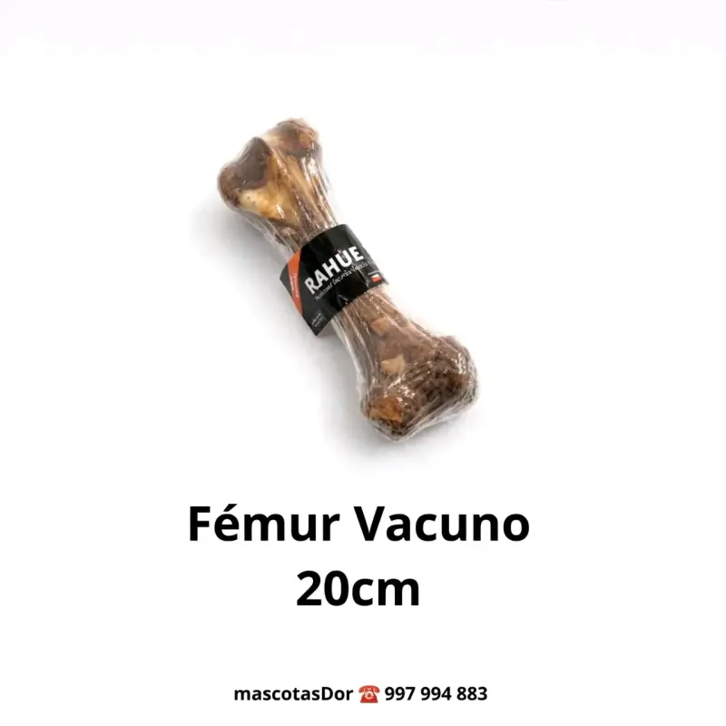 Hueso de Fémur Vacuno para Perros 20cm