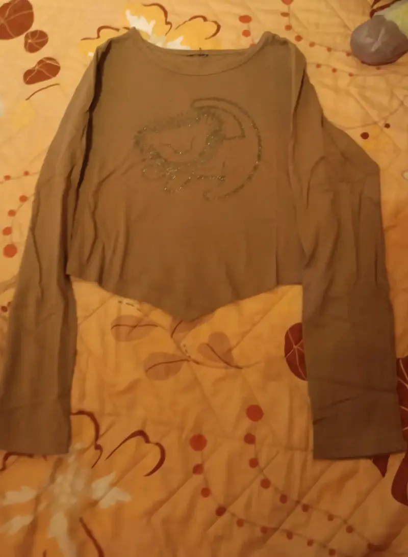 Polera manga larga con diseño de león