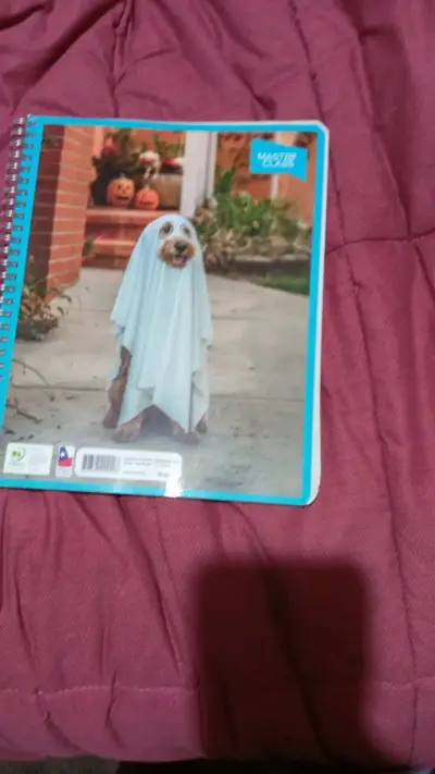 Cuaderno espiral Master Class de diseño de perro d - miniatura 1