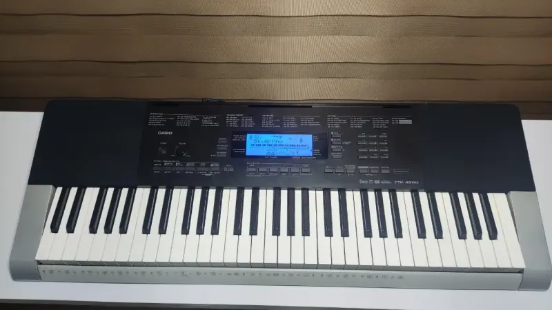 Teclado Casio con Ritmos Rancheros Tropical Cueca - 2