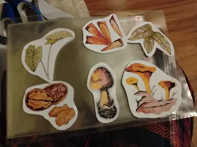 Set de Stickers Botánicos Ilustrados - miniatura 3