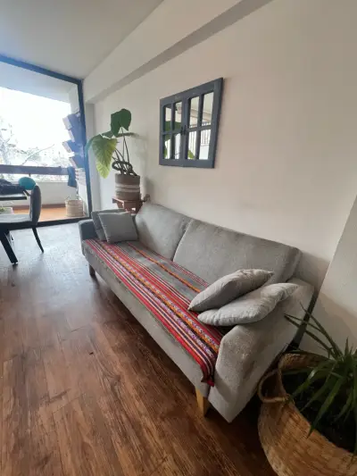 Sofá gris moderno con cojines y manta decorativa - miniatura 4
