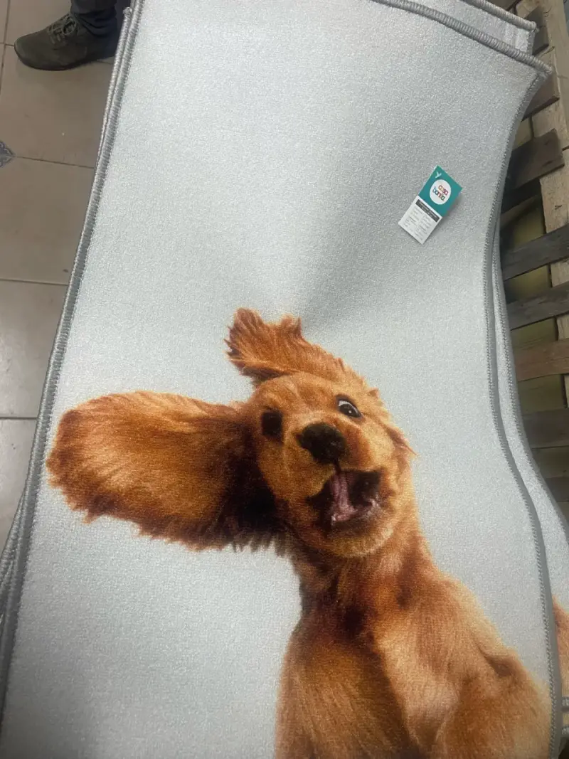 Alfombra con diseño de perro y gato - 2