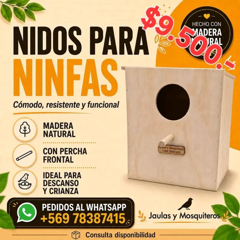 Nido de Maderapara Todo Tipo de Aves - 1