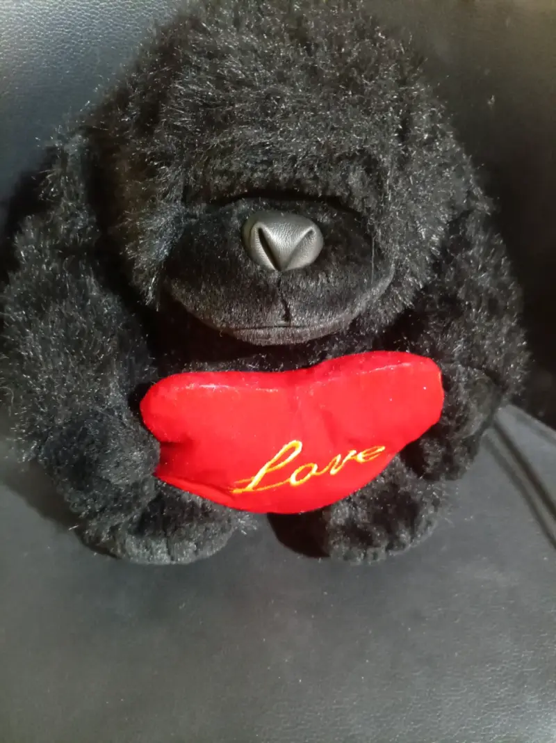 Peluche de oso negro con corazón rojo 'Love'