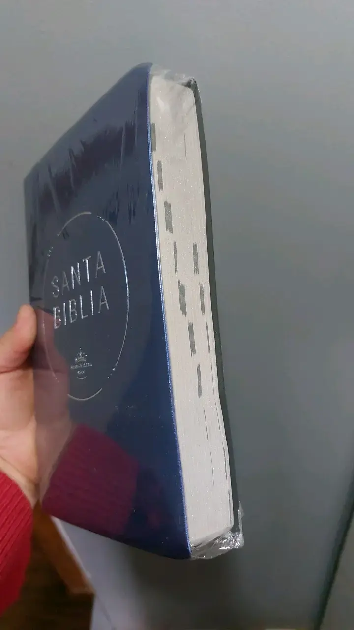 Santa Biblia Reina Valera 1960 en azul - 2