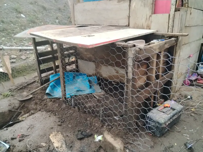 Gallinero