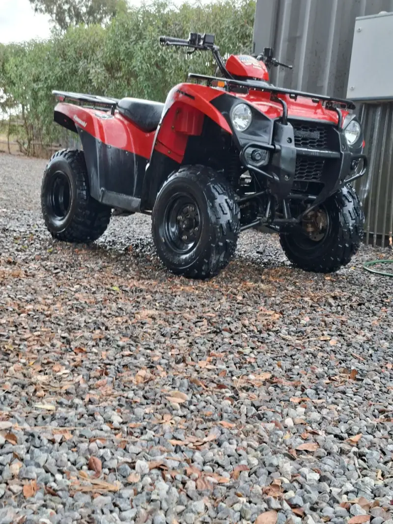 Cuatrimoto Kawasaki Brute Force 300 2024 - 2