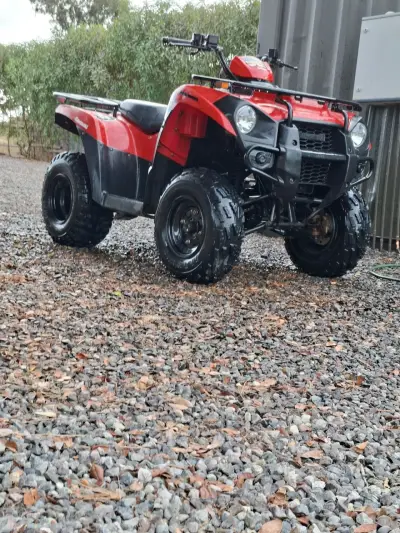 Cuatrimoto Kawasaki Brute Force 300 2024 - miniatura 2