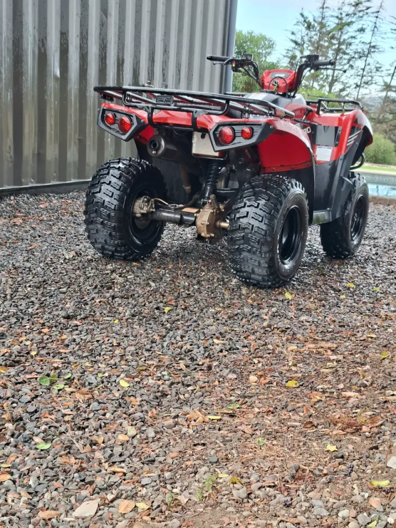 Cuatrimoto Kawasaki Brute Force 300 2024 - 3