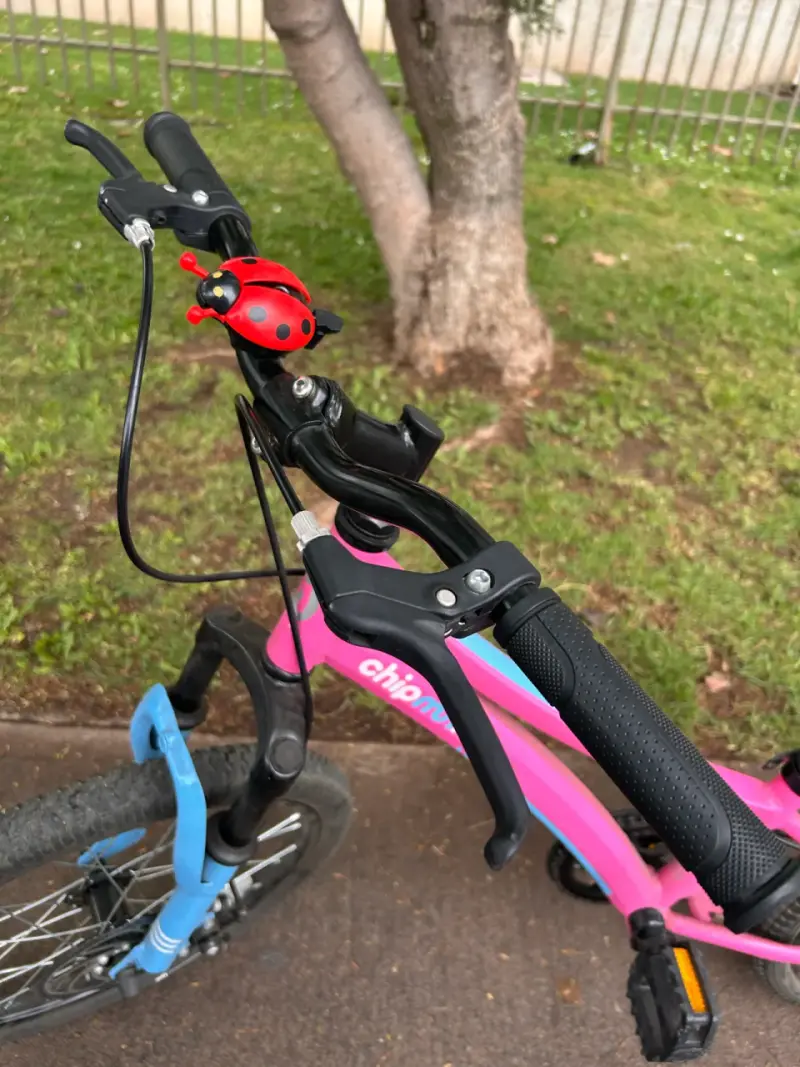 Bicicleta infantil Chipmunk Explorer rosa y azul - 5
