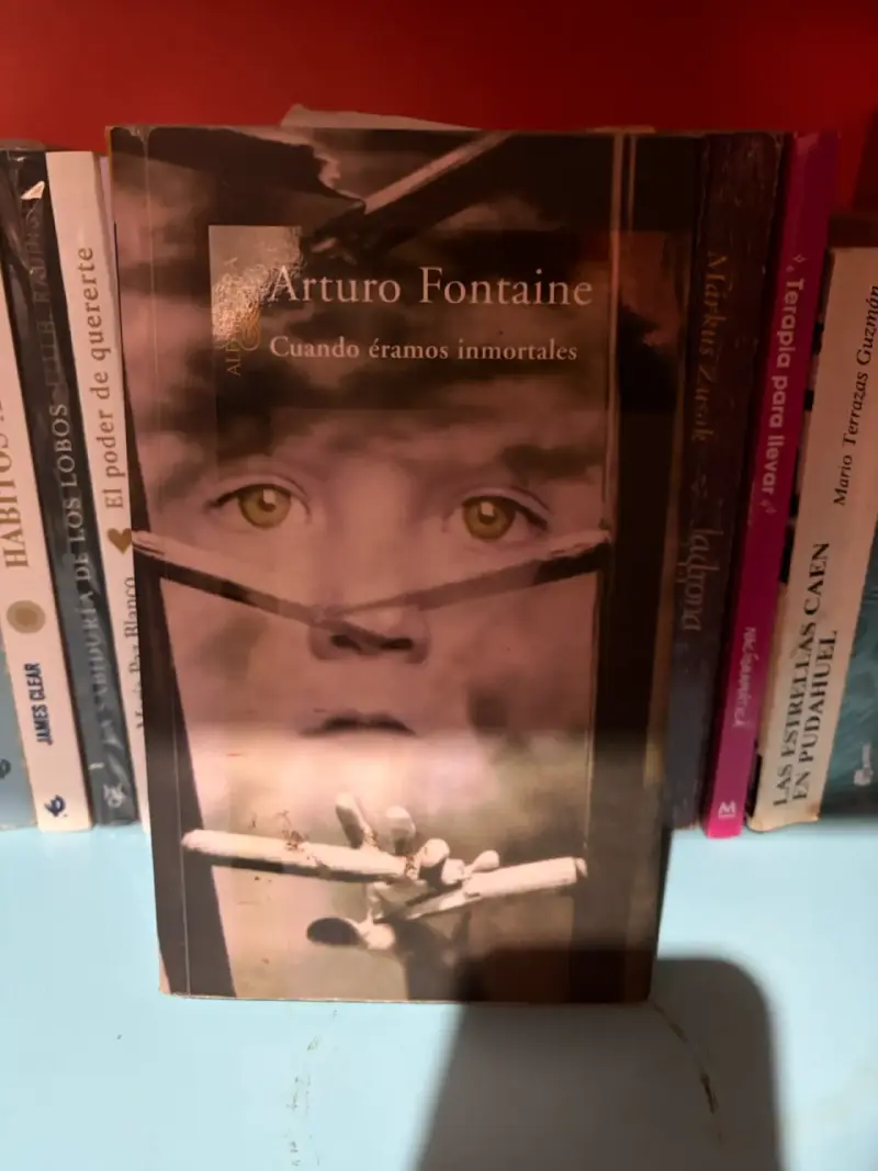 Libro 'Cuando éramos inmortales' de Arturo Fontaine