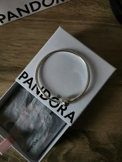 Brazalete Rígido Pandora - miniatura 1