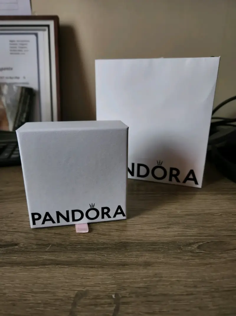 Brazalete Rígido Pandora - 2
