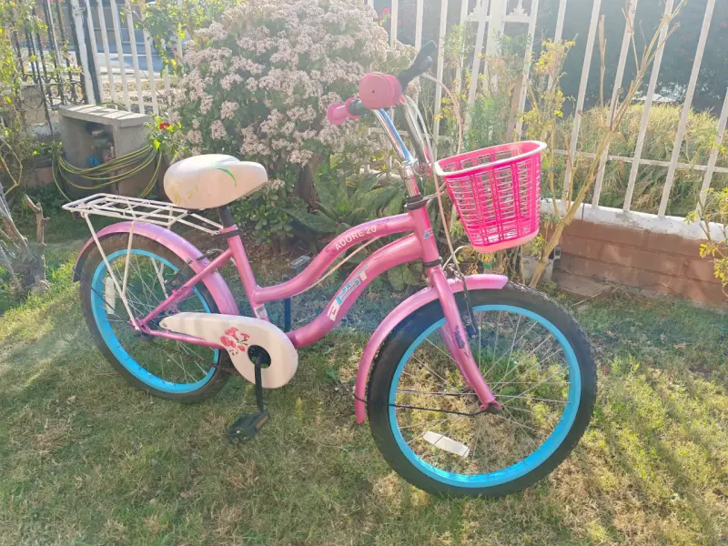 Bicicleta infantil aro 20 rosa con canasto - 1