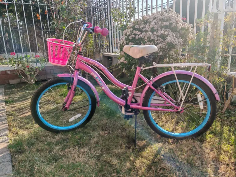 Bicicleta infantil aro 20 rosa con canasto - 3