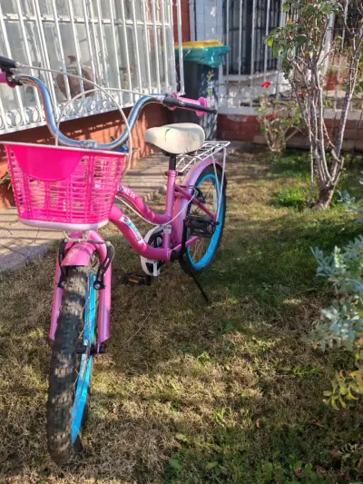 Bicicleta infantil aro 20 rosa con canasto - miniatura 4