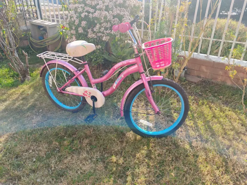Bicicleta infantil aro 20 rosa con canasto - 6