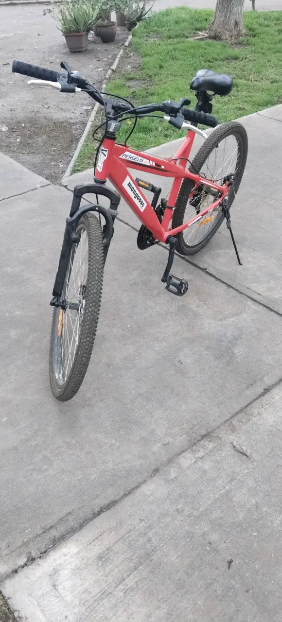 Bicicleta de montaña con cambios Shimano - 5