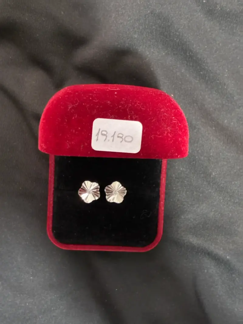 Aros de plata