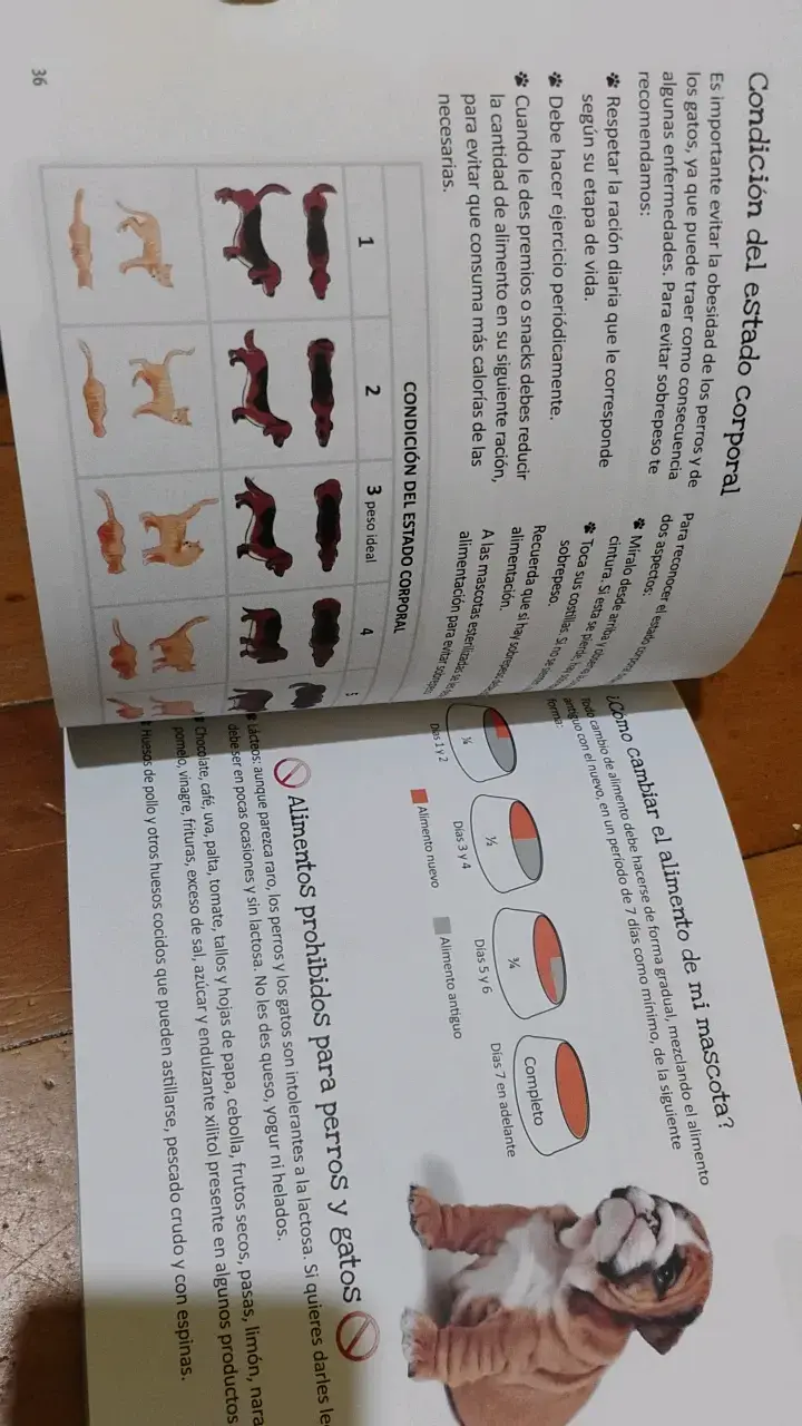 Libro 'Yo Cuido a Mi Mascota' sobre perros y gatos - 4