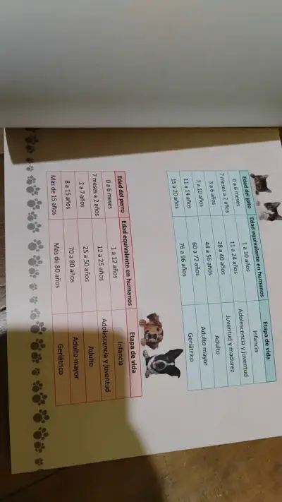 Libro 'Yo Cuido a Mi Mascota' sobre perros y gatos - miniatura 6