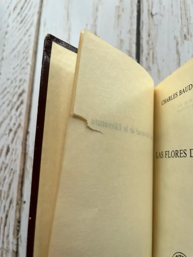 Libro 'Las Flores del Mal' de Charles Baudelaire - 4