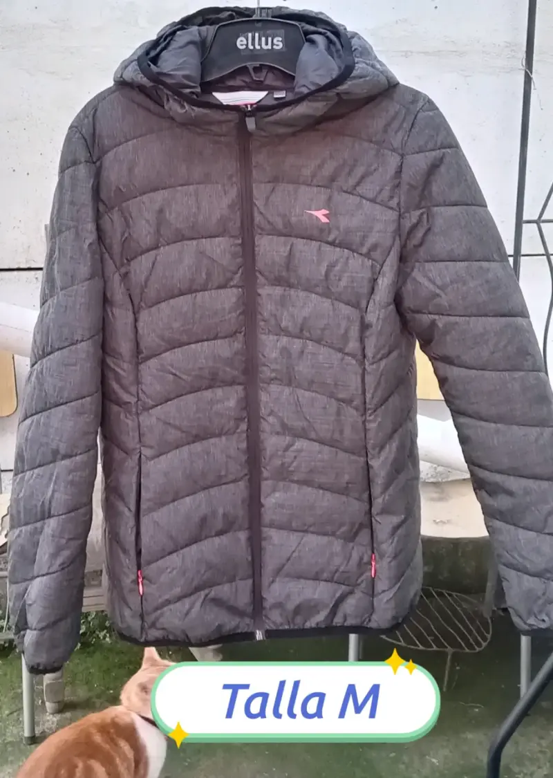 Chaqueta acolchada gris con capucha Ellus talla M