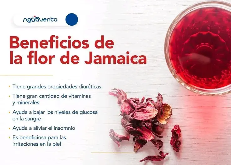 Flor de jamaica  formatos de 1/2 kilo y 1 kilo - 2