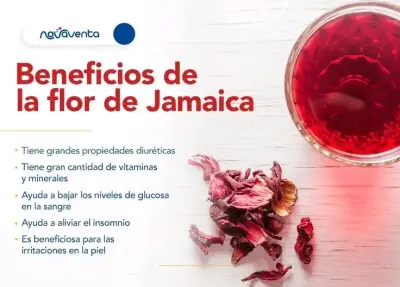 Flor de jamaica  formatos de 1/2 kilo y 1 kilo - miniatura 2