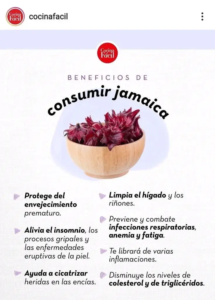 Flor de jamaica  formatos de 1/2 kilo y 1 kilo - 3