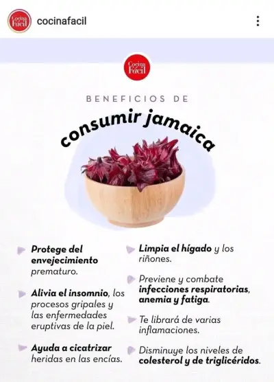 Flor de jamaica  formatos de 1/2 kilo y 1 kilo - miniatura 3