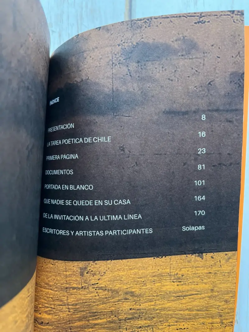Poéticas Constitucionales de los Pueblos de Chile - 4