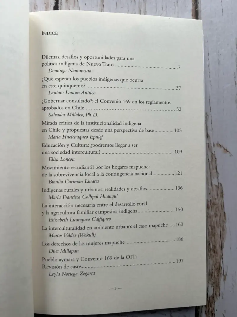 Libro '¿Chile Indígena?' Desafíos y Oportunidades - 4