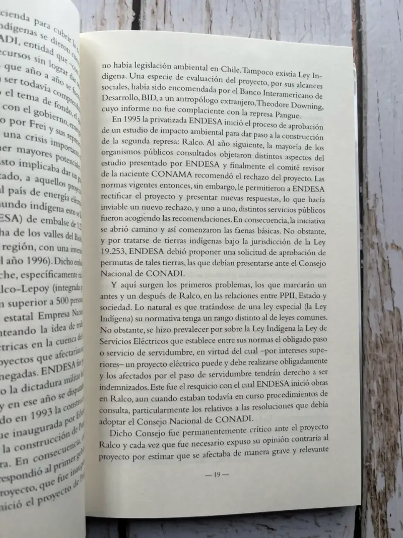 Libro '¿Chile Indígena?' Desafíos y Oportunidades - 5