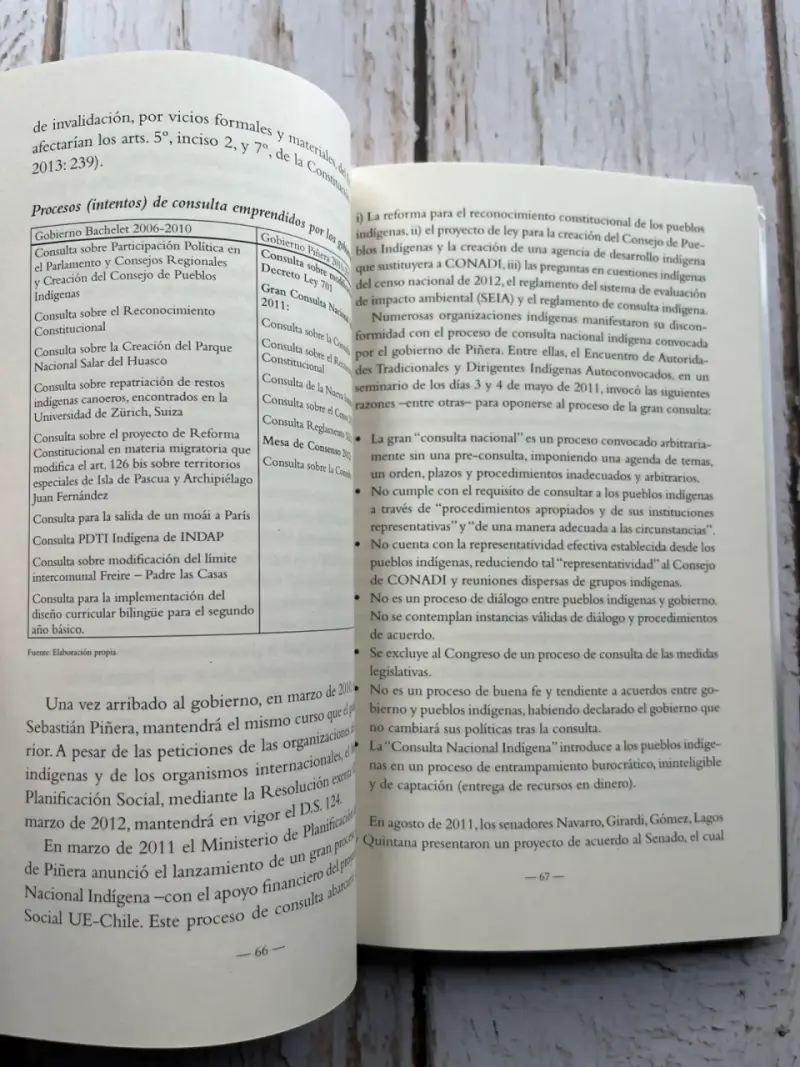 Libro '¿Chile Indígena?' Desafíos y Oportunidades - 6